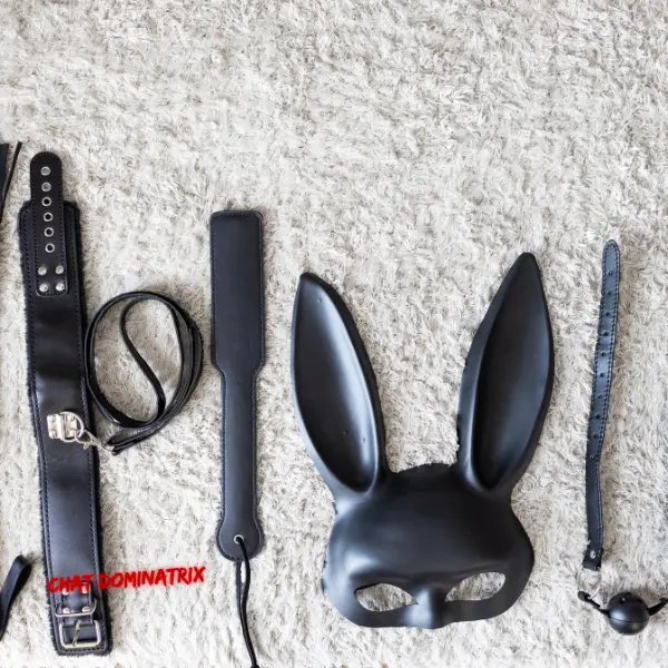 Black BDSM accessories laid out on a soft surface, including a leather collar with leash, spanking paddle, bondage bunny mask, ball gag, and restraint strap, essential BDSM gear for beginners. Best BDSM toys for beginners guide by Aita Goth on Chat Dominatrix