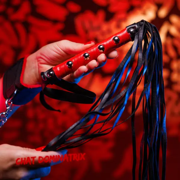 A red and black leather flogger: Essential impact play gear for BDSM scenes, combining sensation play with controlled intensity.