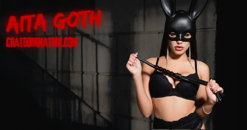 Sensory Play and Electro Domination – A masked dominatrix in black lingerie wields a flogger, symbolizing the seductive control of electrostimulation in BDSM.