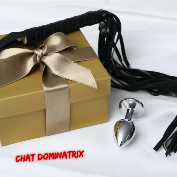 Luxury BDSM Femdom Chastity device gift set featuring a flogger and metal butt plug, perfect for keyholders practicing chastity and control