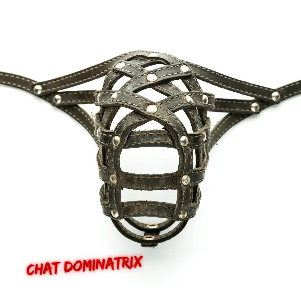 Intricate leather chastity cage designed for long-term denial, a key element in femdom chastity dynamics.