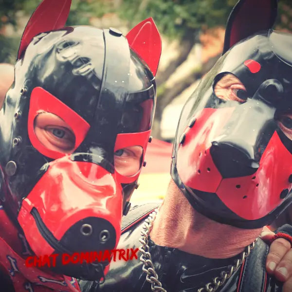 Pup Play and Community Bonding – Two individuals in red and black puppy hoods embrace, symbolizing the camaraderie and roleplay within the pup play community.