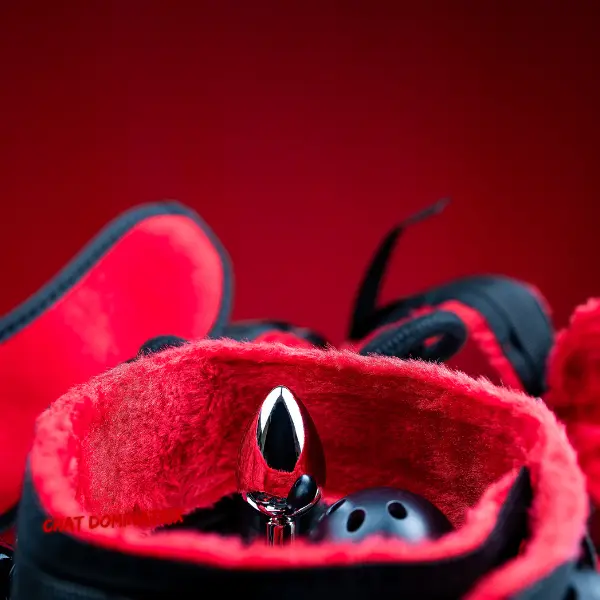A collection of erotic butt plugs inside a fetish toy bag – explore anal training, sensation play, and BDSM dominance with Aita Goth’s expert guide